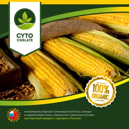 Corn